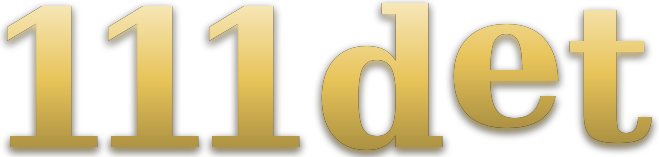 111 det logo